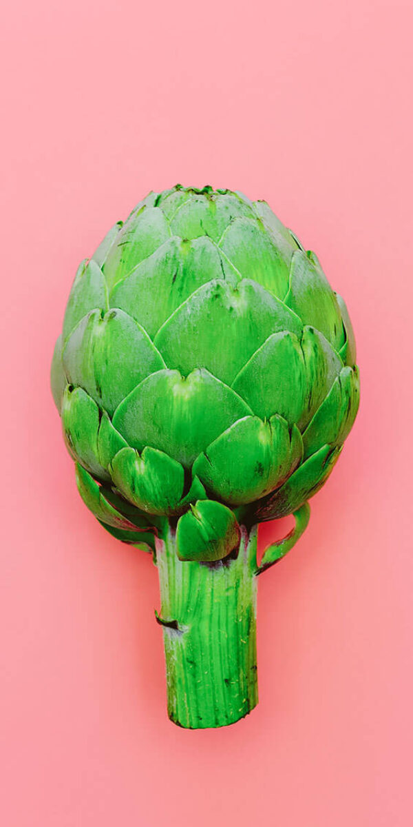 artichoke-minimal-vegan-style-2024-09-22-16-04-02-utc