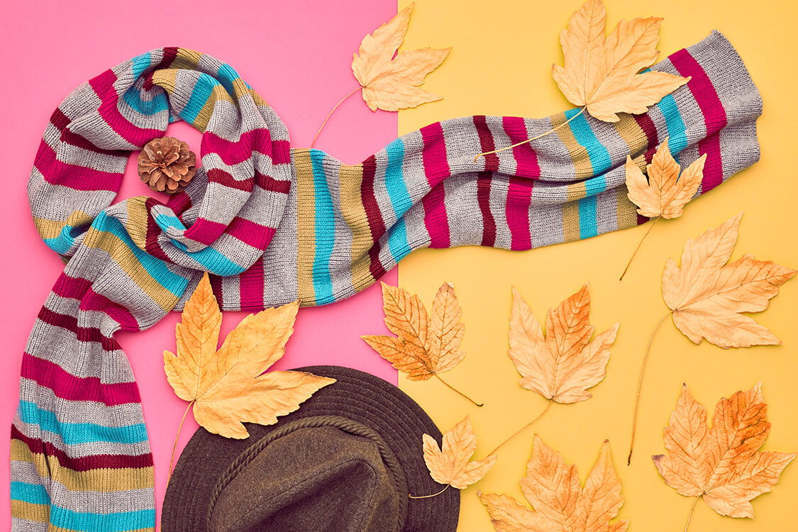 fall-fashion-minimal-set-fall-leaves-pastel-colors-2023-11-27-04-49-03-utc