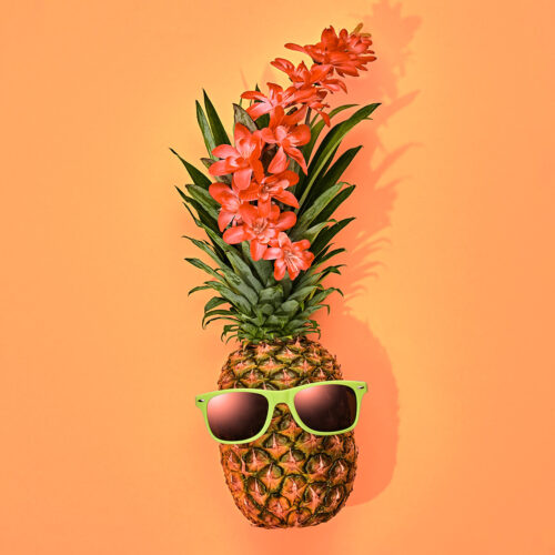 fashion-hipster-pineapple-tropical-minimal-look-2024-02-23-15-33-53-utc