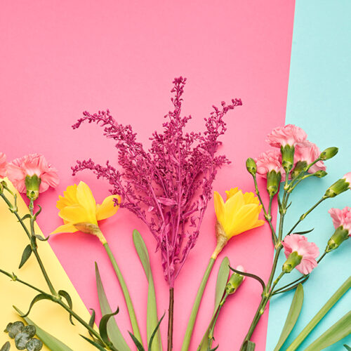 Fashion Spring look. Trendy pastel mixed multicolored flowers. Floral Summer collection falling on romantic geometry background. Trendy fashionable layout. Fashion advertising, top view.
