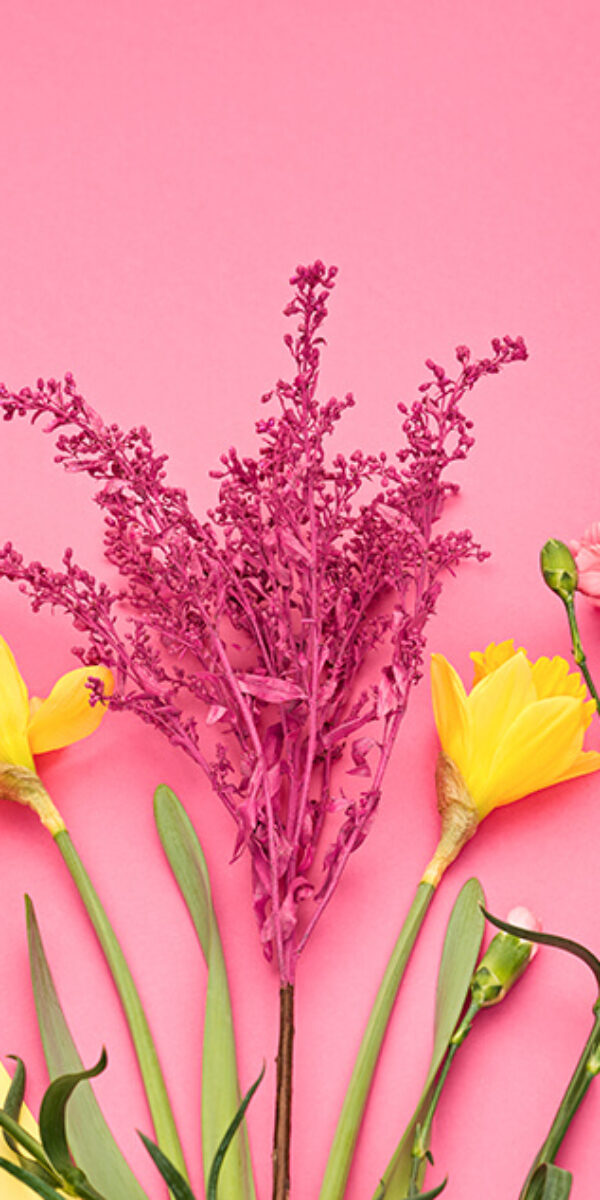 fashion-spring-look-trendy-pastel-mixed-multicolo-2024-02-19-22-59-01-utc