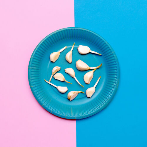 Garlic. Minimal art style.