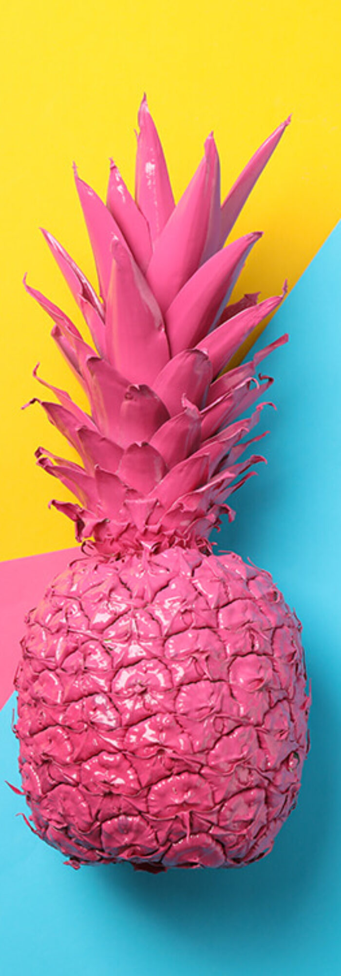 painted-pink-pineapple-on-multicolor-background-s-2023-11-27-04-56-31-utc