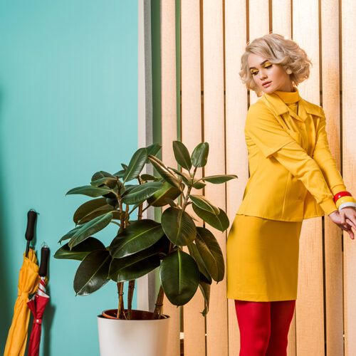 retro styled woman standing at ficus plant in flowerpot at color retro styled woman standing at ficus plant in flowerpot at colorful apartment, doll house concept
