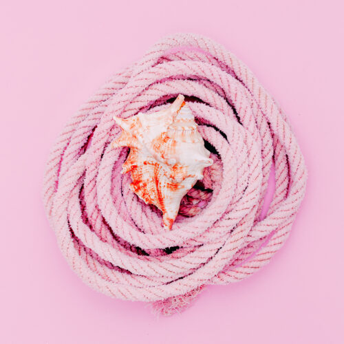 Shell and sea rope. Sea vibes