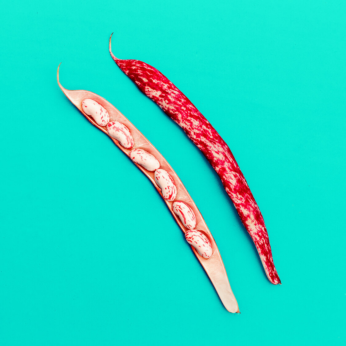 String beans Minimal art design