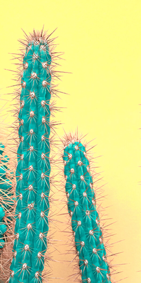 Fashion tropical fern leaf surreal minimal on vivid background. Vivid Design. Art Gallery. Creative Bright Trendy Color. Minimal Style. Summer fashion Mood