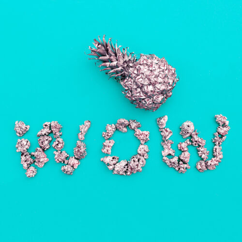 Tropical Silver Pineapple. Minimal art