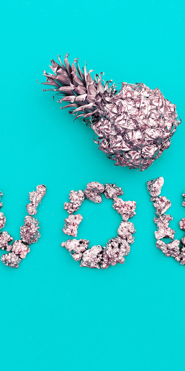 Tropical Silver Pineapple. Minimal art