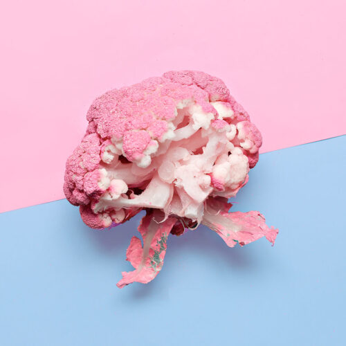 vegan-blog-cabbage-art-gallery-minimal-design-cr-2024-09-12-05-59-26-utc