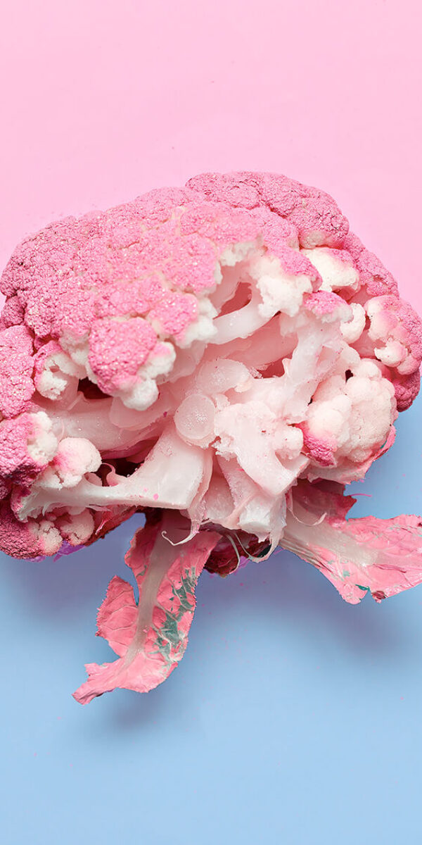 vegan-blog-cabbage-art-gallery-minimal-design-cr-2024-09-12-05-59-26-utc