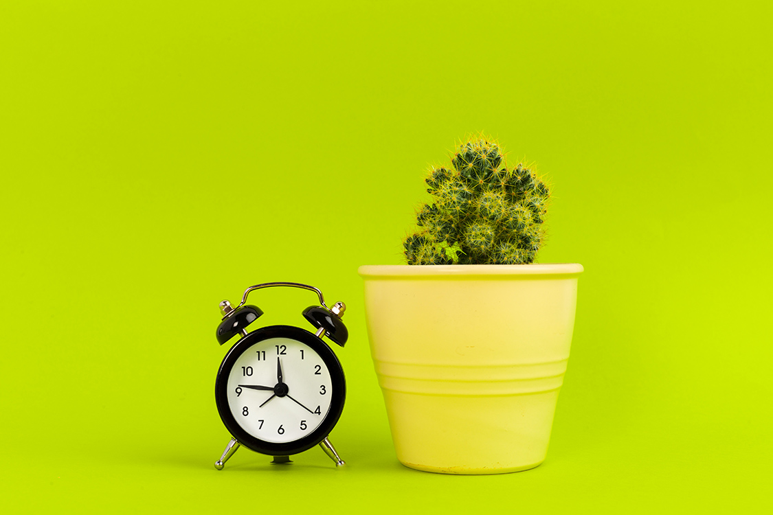 Vintage black alarm clock on a bright green background